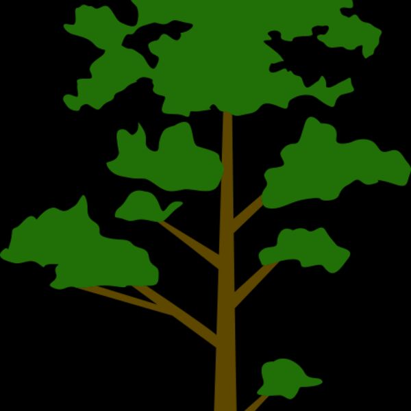 Tree Plant 8 Thumbnail